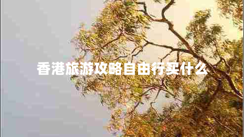 香港旅游攻略自由行買(mǎi)什么