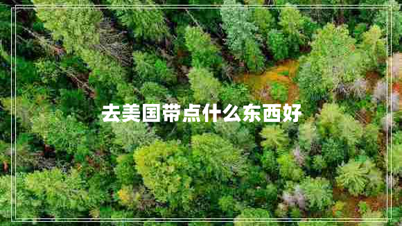 去美國帶點(diǎn)什么東西好