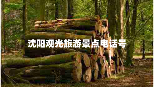 沈陽(yáng)觀(guān)光旅游景點(diǎn)電話(huà)號