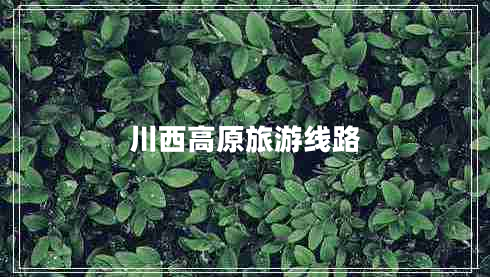 川西高原旅游線(xiàn)路