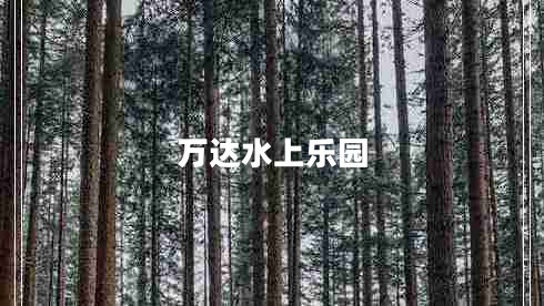 萬(wàn)達水上樂(lè )園