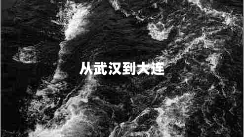 從武漢到大連