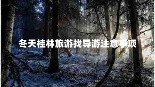冬天桂林旅游找導游注意事項