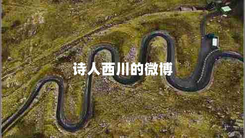 詩(shī)人西川的微博