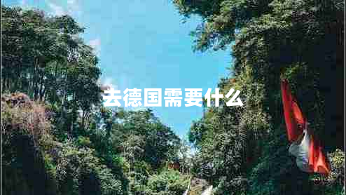 去德國需要什么
