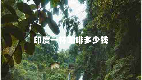 印度一杯咖啡多少錢(qián)