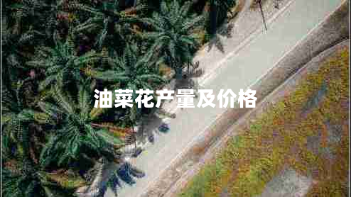 油菜花產(chǎn)量及價(jià)格