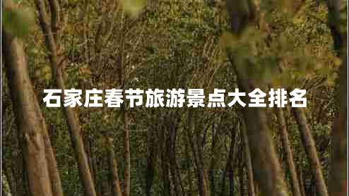 石家莊春節(jié)旅游景點(diǎn)大全排名