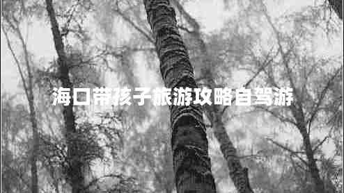海口帶孩子旅游攻略自駕游