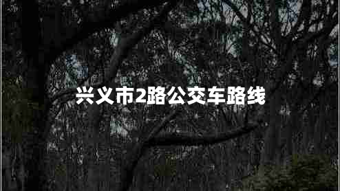 興義市2路公交車(chē)路線(xiàn)