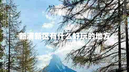 新浦新區有什么好玩的地方