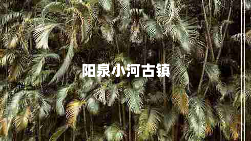 陽(yáng)泉小河古鎮