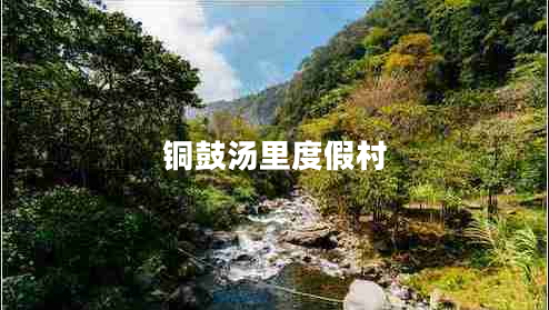 銅鼓湯里度假村