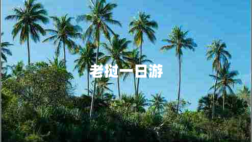老撾一日游