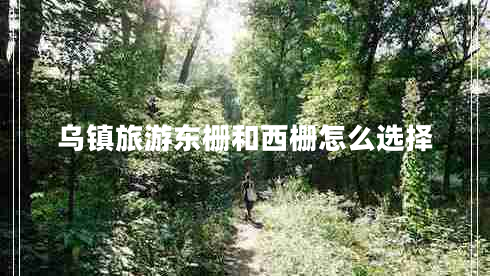 烏鎮旅游東柵和西柵怎么選擇
