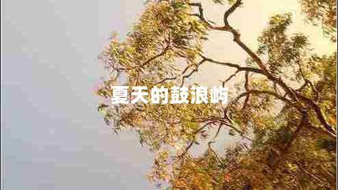 夏天的鼓浪嶼