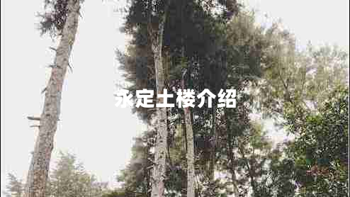 永定土樓介紹