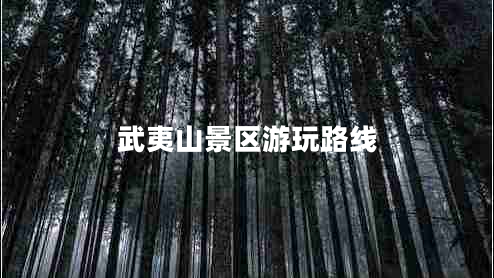 武夷山景區游玩路線(xiàn)