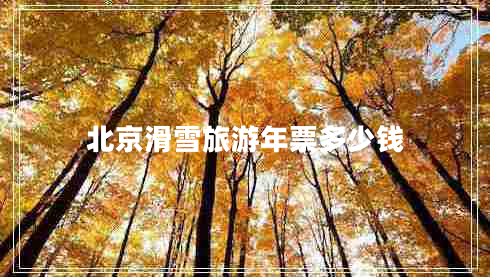 北京滑雪旅游年票多少錢(qián)