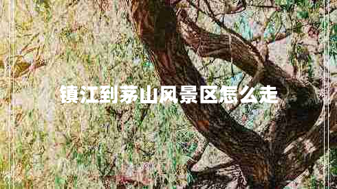鎮江到茅山風(fēng)景區怎么走