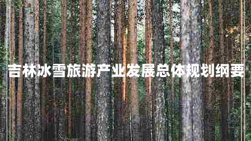 吉林冰雪旅游產(chǎn)業(yè)發(fā)展總體規劃綱要