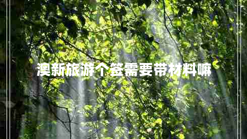 澳新旅游個(gè)簽需要帶材料嘛