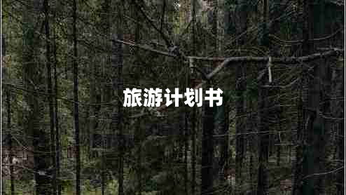 旅游計劃書(shū)