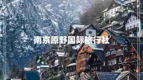 南京原野國際旅行社