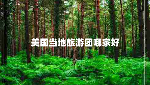 美國當地旅游團哪家好