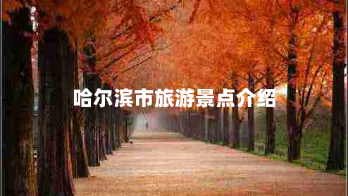 哈爾濱市旅游景點(diǎn)介紹