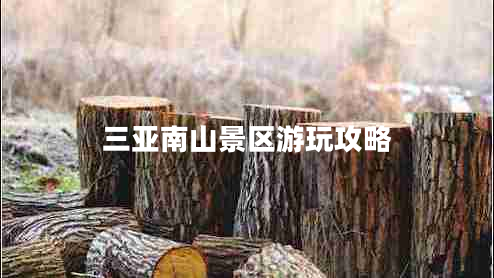 三亞南山景區游玩攻略