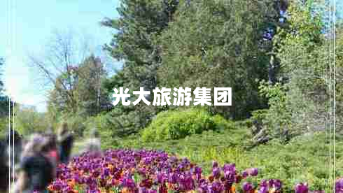 光大旅游集團