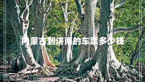 內蒙古到濟南的車(chē)票多少錢(qián)