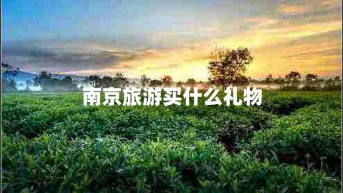 南京旅游買(mǎi)什么禮物