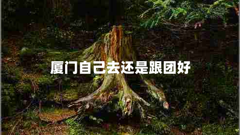 廈門(mén)自己去還是跟團好