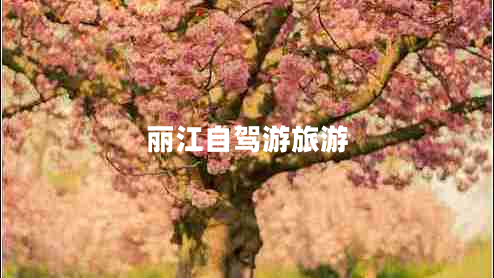 麗江自駕游旅游