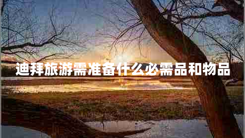 迪拜旅游需準備什么必需品和物品
