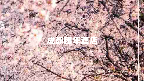 成都團年酒店