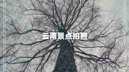 云南景點(diǎn)拍照
