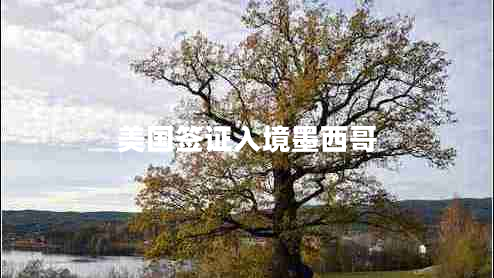 美國簽證入境墨西哥