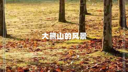 大熊山的風(fēng)景