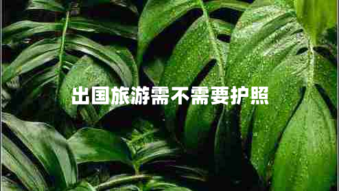 出國旅游需不需要護照