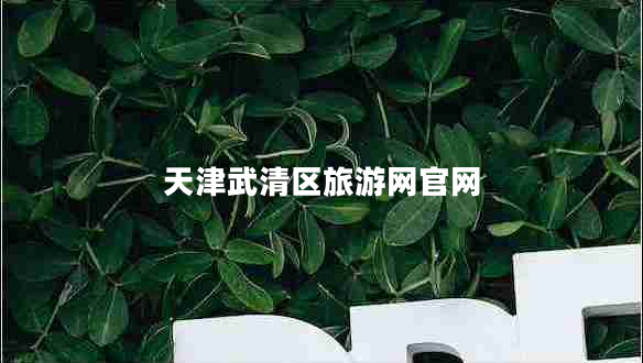 天津武清區旅游網(wǎng)官網(wǎng)