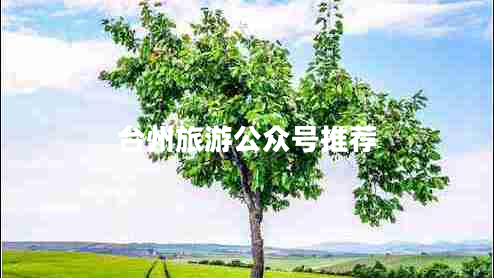 臺州旅游公眾號推薦
