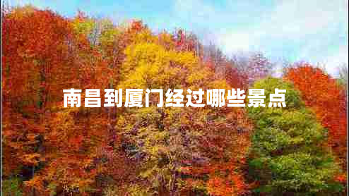 南昌到廈門(mén)經(jīng)過(guò)哪些景點(diǎn)