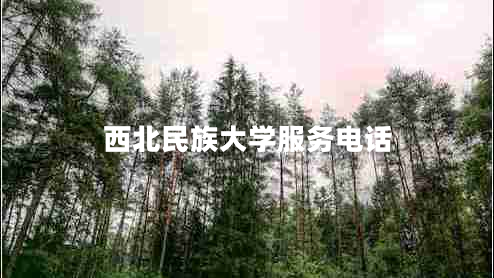 西北民族大學(xué)服務(wù)電話(huà)