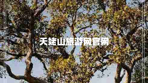 天姥山旅游網(wǎng)官網(wǎng)