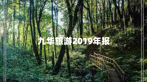 九華旅游2019年報