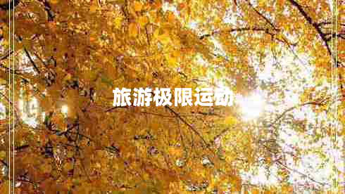 旅游極限運動(dòng)