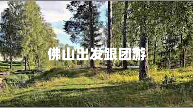 佛山出發(fā)跟團游